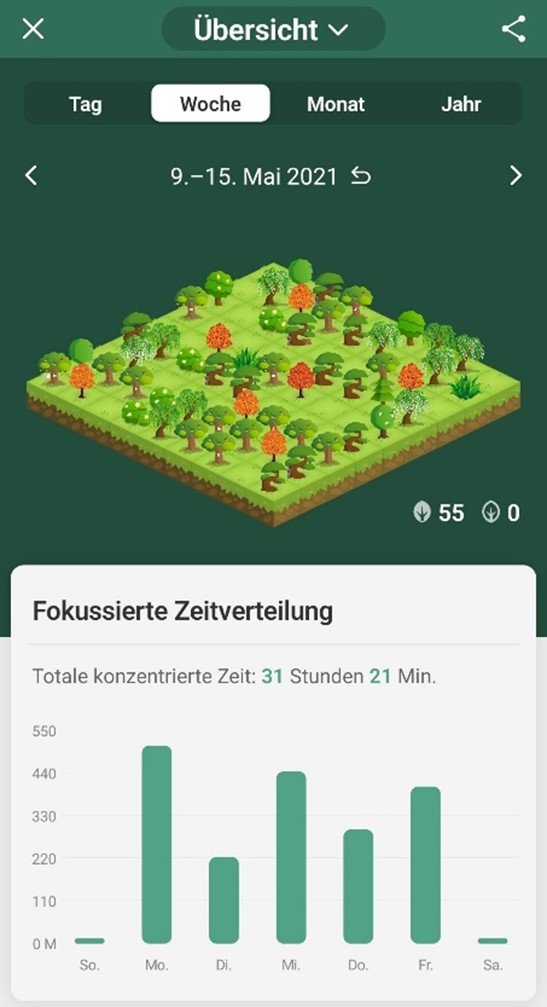 Forest 1