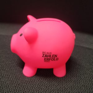 Pinkes Schwein als Maskottchen für Rechnungswesen und Controlling. Das Schwein ist ein Sparschwein auf Plastik.