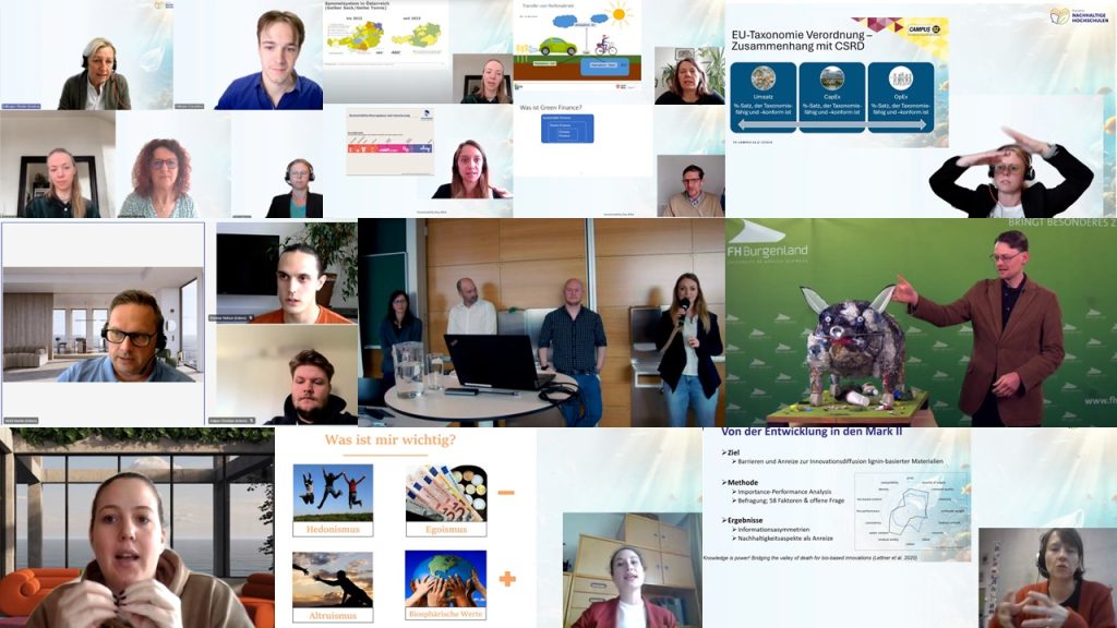 Sustainability Day Collage